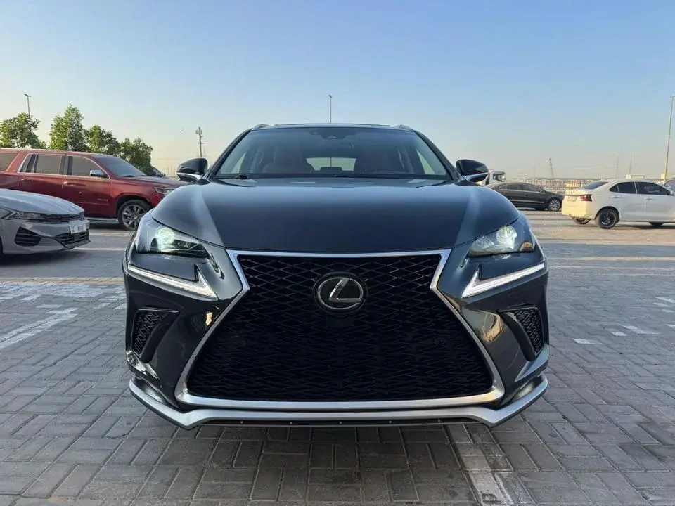 Lexus NX300 Lexus Nx300 2020