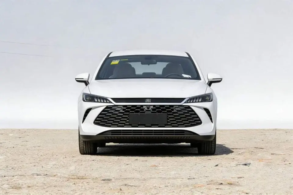 BYD QIN PLUS DM-i 55KM Leading Edition