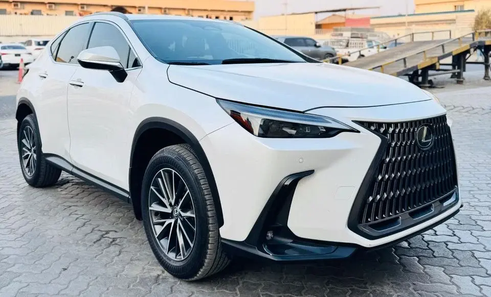 Lexus NX 250