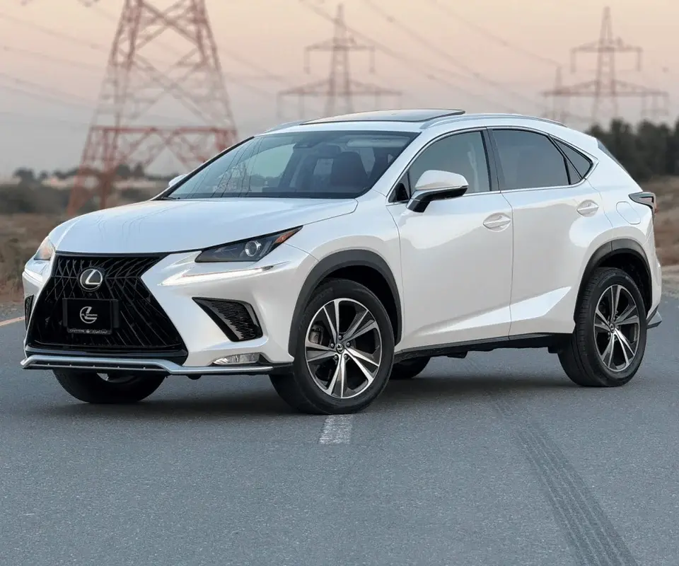 Lexus NX300 300 2.0