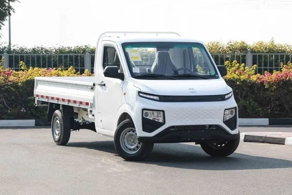 Geely Farizon 2024 SUPER VAN FARIZON F1E FENCE - WHITE inside BLACK Export Only