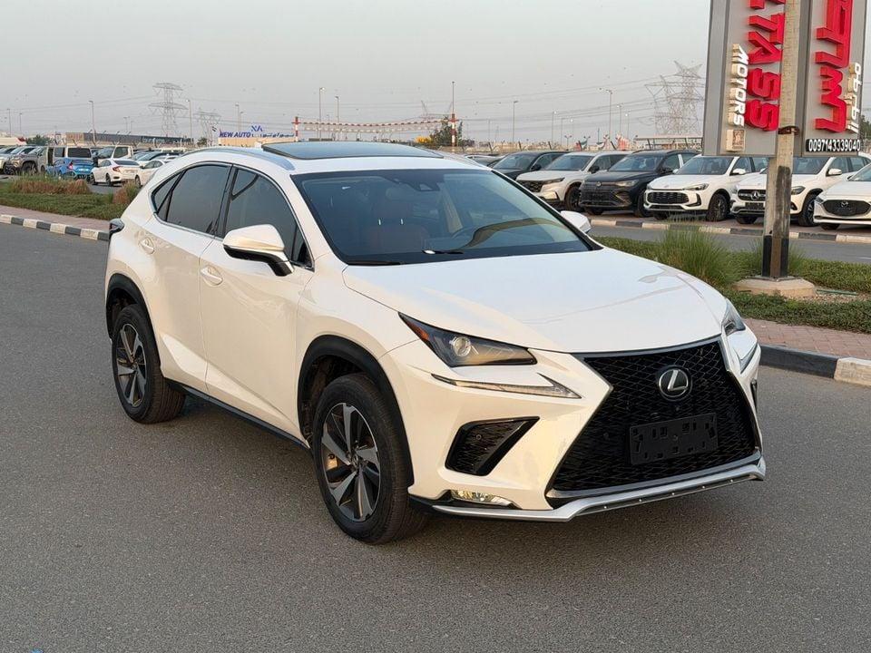 Lexus NX300 2020 LEXUS NX300 360CAMERA FULL OPTIONS IMPORTED FROM USA