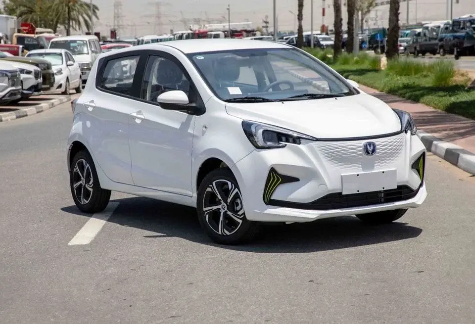 Changan Ben EStar 2024 Changan E-Star Qingxin - White Inside Blue & Grey Export Price
