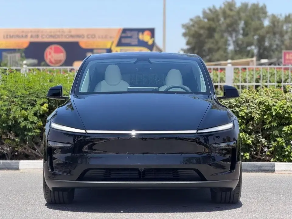 Tesla Model Y LONG RANGE