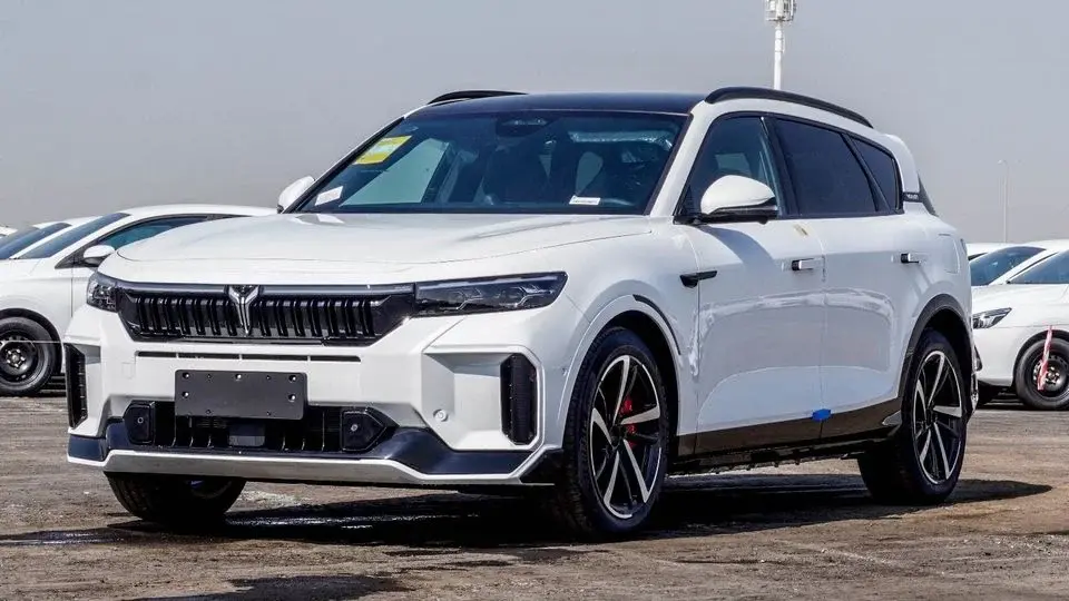 Voyah Free 318 Other