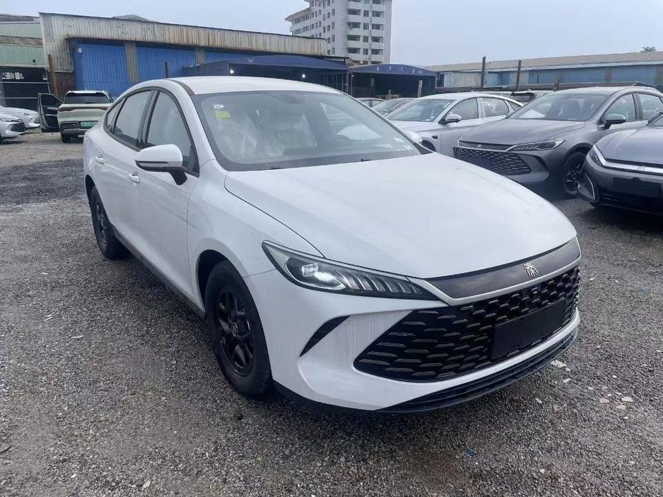 BYD QIN PLUS white-grey white-beige