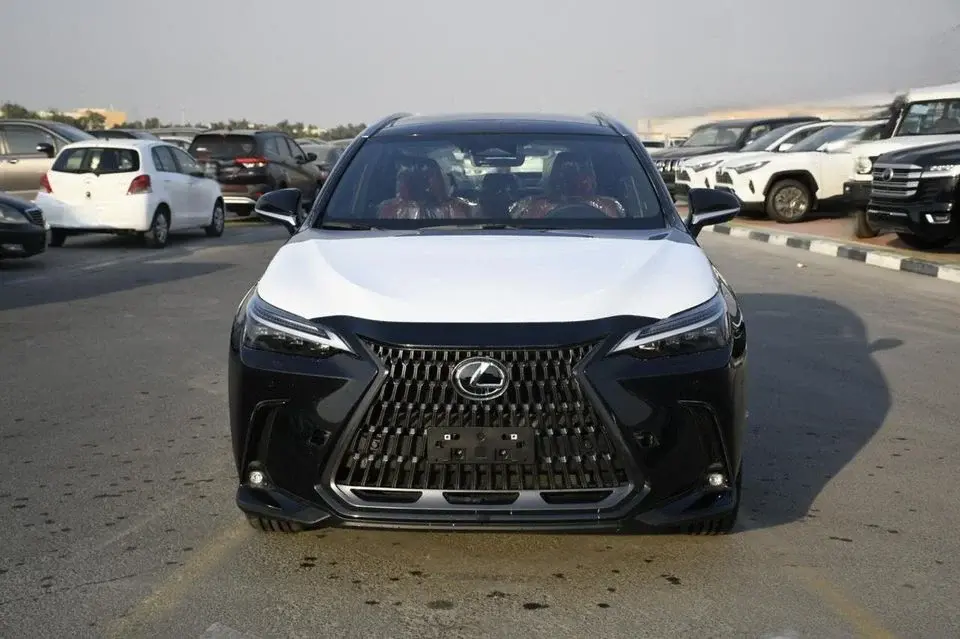 Lexus NX350 Elegant 2.4L /2025/GCC