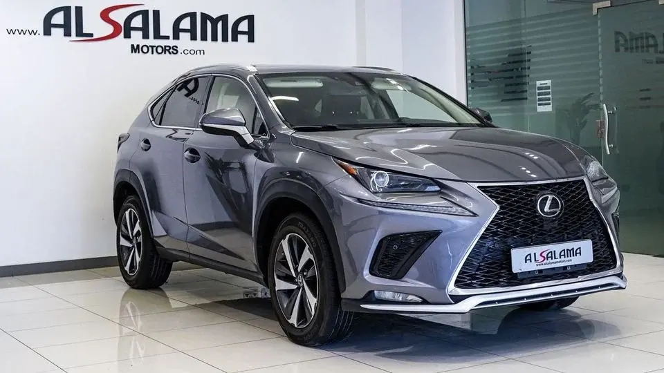Lexus NX300 Platinum 2.0L