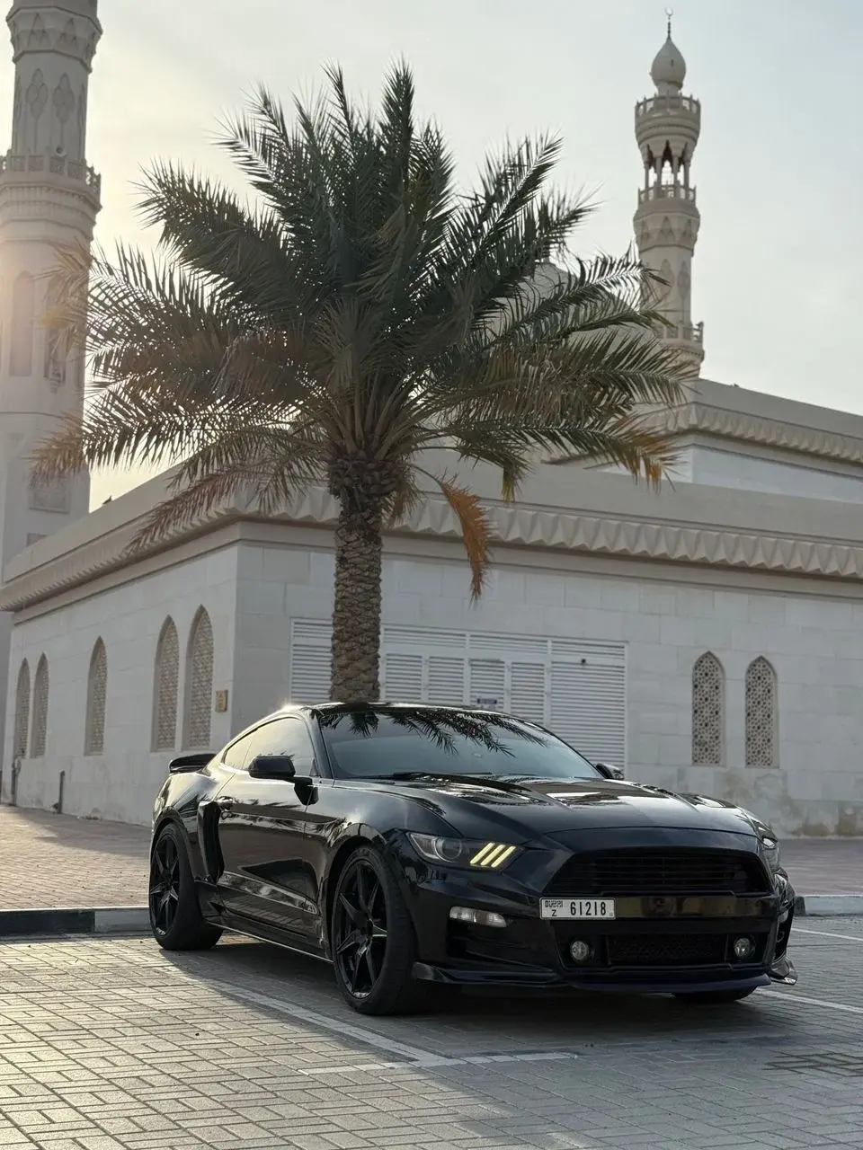 Ford Mustang GT Premium 5.0L V8