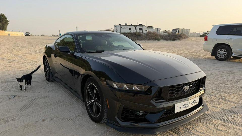 Ford Mustang EcoBoost Premium 2.3L Coupe M/T