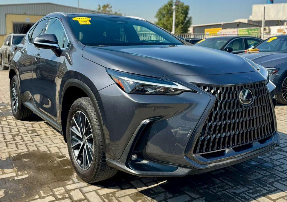 Lexus NX 250