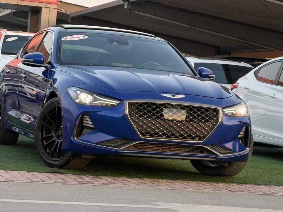 Hyundai Genesis customs papers, full panoramic